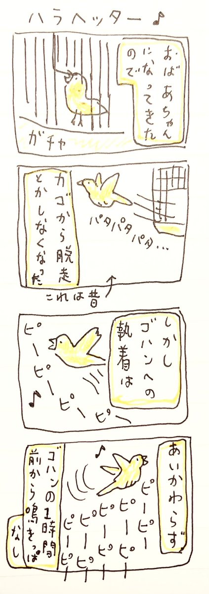 🐤 