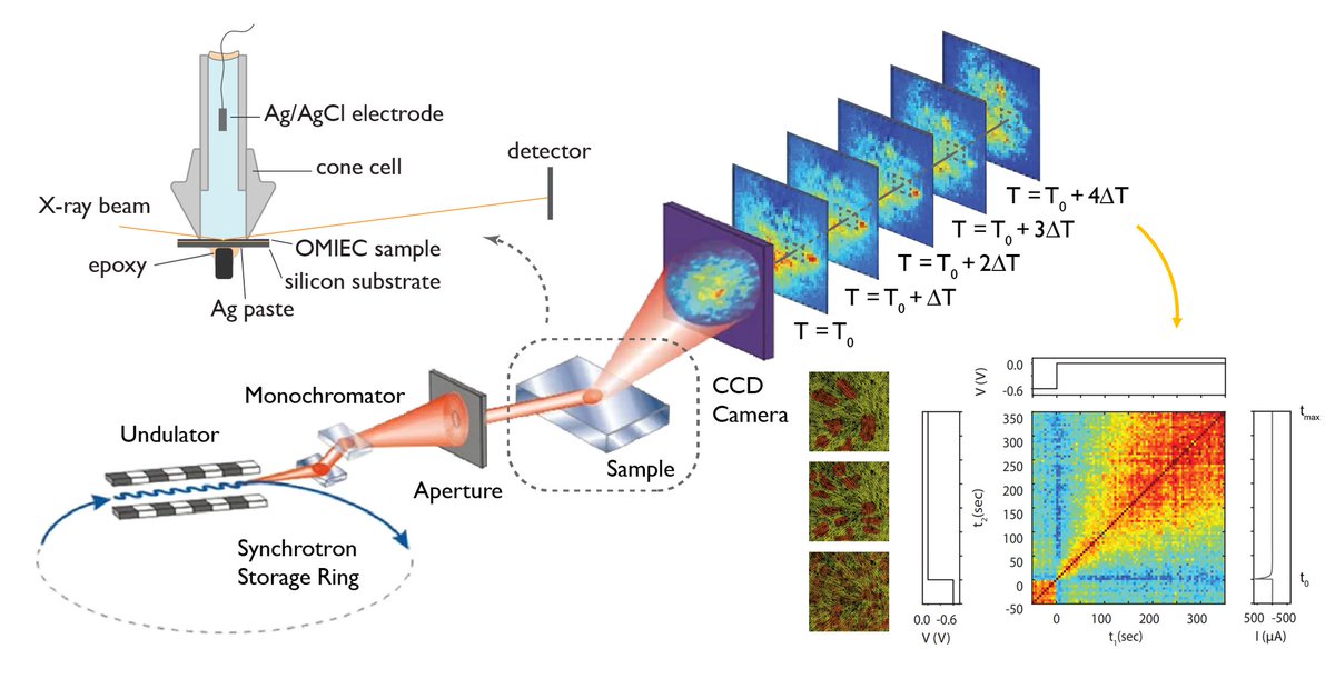 If interested in our exploration of the complex coupling of charged species, mesoscale domain deformation/evolution, and external voltage⚡️ in disordered systems, check out our latest research in @naturematerials. @jrivnay @dilara_meli @BryanPaulsen 📰nature.com/articles/s4156…