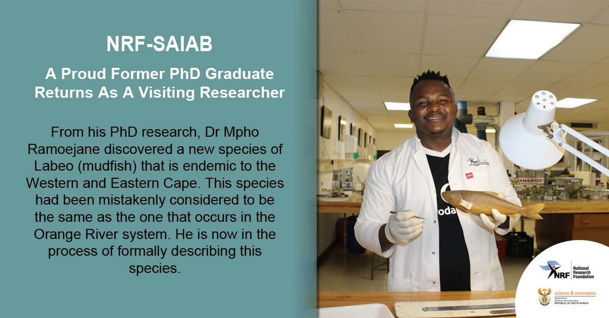 Dr Mpho Ramoejane, a former PhD student of <a href="/NRF_SAIAB/">SAIAB</a> and now a lecturer at the University of the Free State, visited the NRF-SAIAB Collections Facility to continue his research. His journey with NRF-SAIAB began in 2007.

Read more here: saiab.ac.za/a-proud-former…