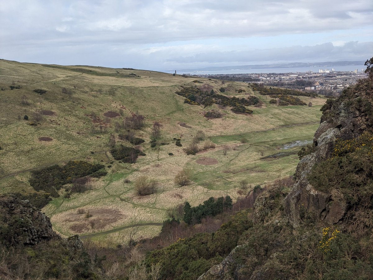 Gorse cutting with @HistEnvScot Holyrood Park rangers to clear space for Spring Sandwort. Challenging but fun this morning.