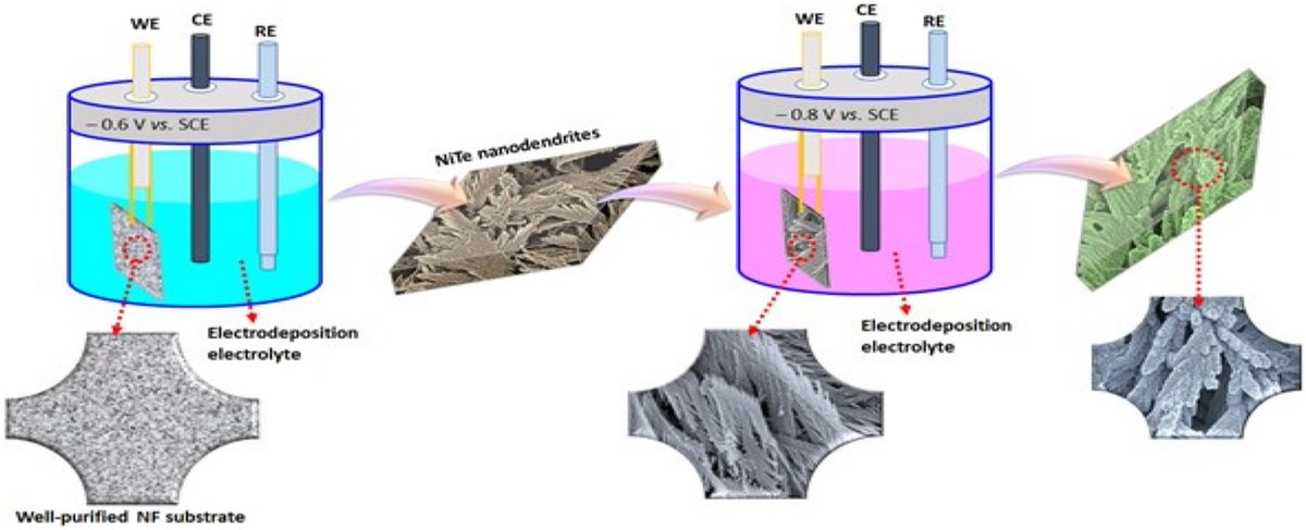 Synergistic Tuning of Nickel Cobalt Selenide@Nickel Telluride Core–Shell Heteroarchitectures for Boosting Overall Urea Electrooxidation and Electrochemical Supercapattery.
Diab Khalafallah* , Mingjia Zhi*, and Zhanglian Hong*,
onlinelibrary.wiley.com/doi/10.1002/ee…