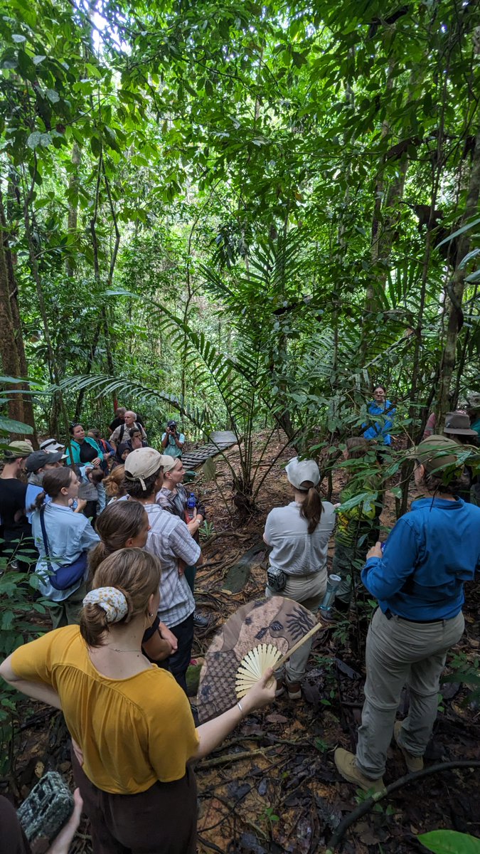 Darsh_Chellaiah's tweet photo. Spent a fun few weeks in Borneo, mentoring aspiring Env scientists from UniSC, delving into a dynamic array of fieldwork and scientific techniques for learning more about tropical forest ecology.
Was a fulfilling experience nurturing the next gen of environmental stewards :) https://t.co/3ArMHe3J51