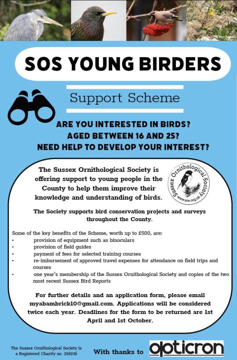 Great opportunity for Sussex young people from @SussexOrnitholo