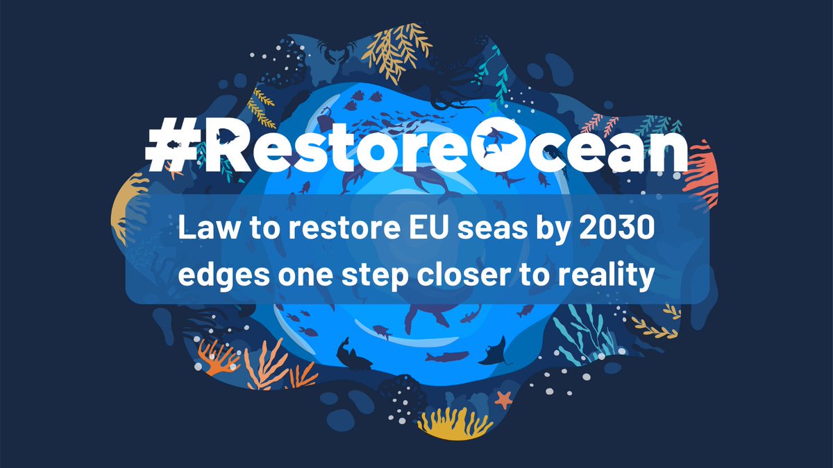 BREAKING NEWS: @Europarl_EN has given its final approval to the #NatureRestorationLaw! With key #ocean 🌊 & #fisheries 🐡 provisions, this is a big win for the marine environment. #RestoreOcean #RestoreNature Read our reaction: europe.oceana.org/press-releases…