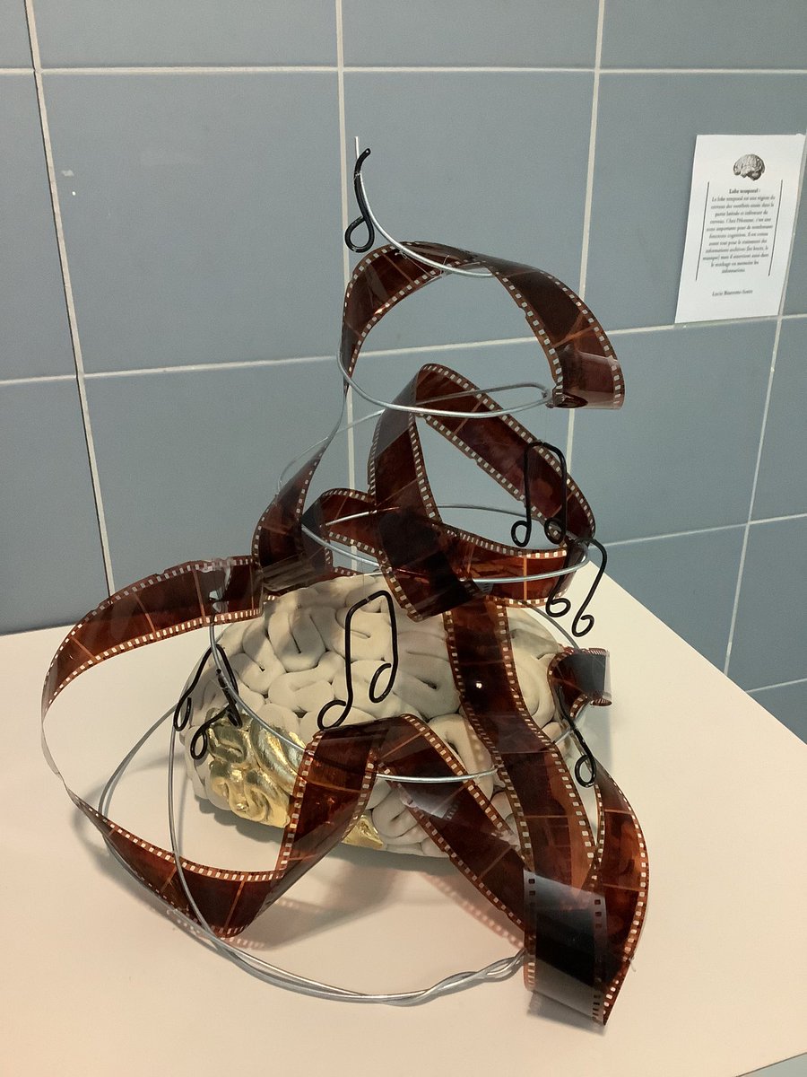 NLepouder's tweet photo. Quand le couloir des sciences du lycée devient hall d’exposition de l’option Arts plastiques 🤗#SLLPND https://t.co/xSevfz9epT