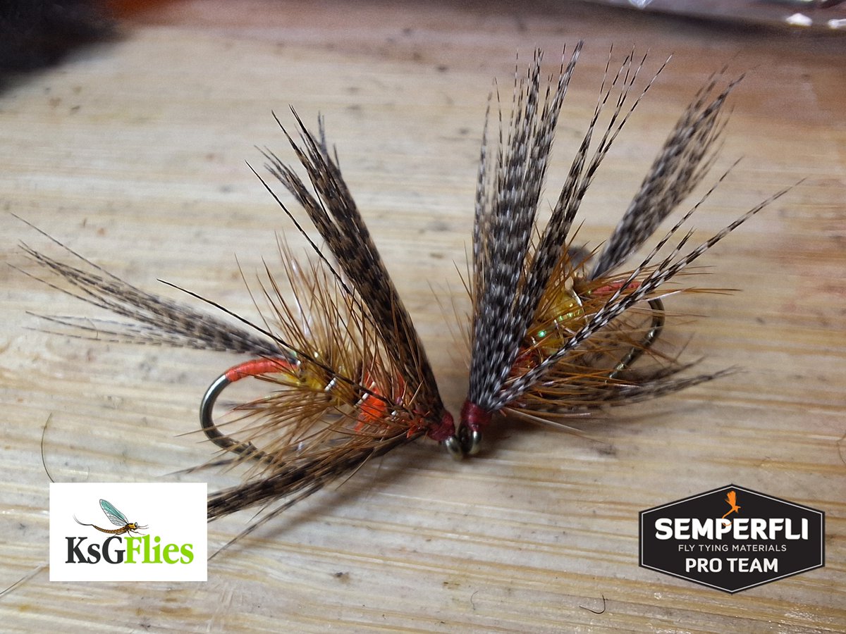 A lovely dabbler tied by Kevin Sheridan during the open weekend at Fishing Tackle and Bait! Kevin uses 8/0 Classic Waxed Thread, 0.2mm Gold Wire and 1mmFl Red & Fl Sunburst Orange Pearl Chenille! Lovely tying, Kevin!

#semperlfi #tiewithsemperfli #semperfliproteam #irishflies