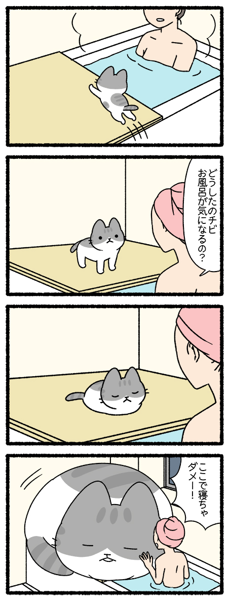 ねこようかい ねぶとり
#ねこもんすたー #ねこようかい 