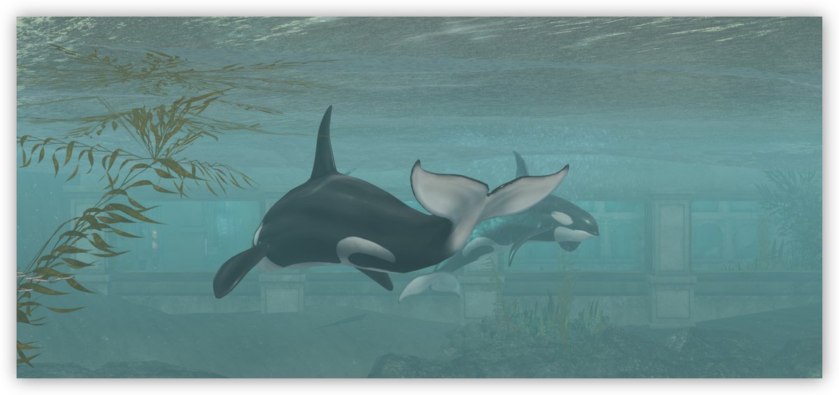 SusannDeCuir's tweet photo. Sim- and Shoptipp: mermade
Click below to read more: https://t.co/JxNSnnZL6W
#SecondLife #simtip #shoptip #virtual #mermade https://t.co/81IqVX5GX4