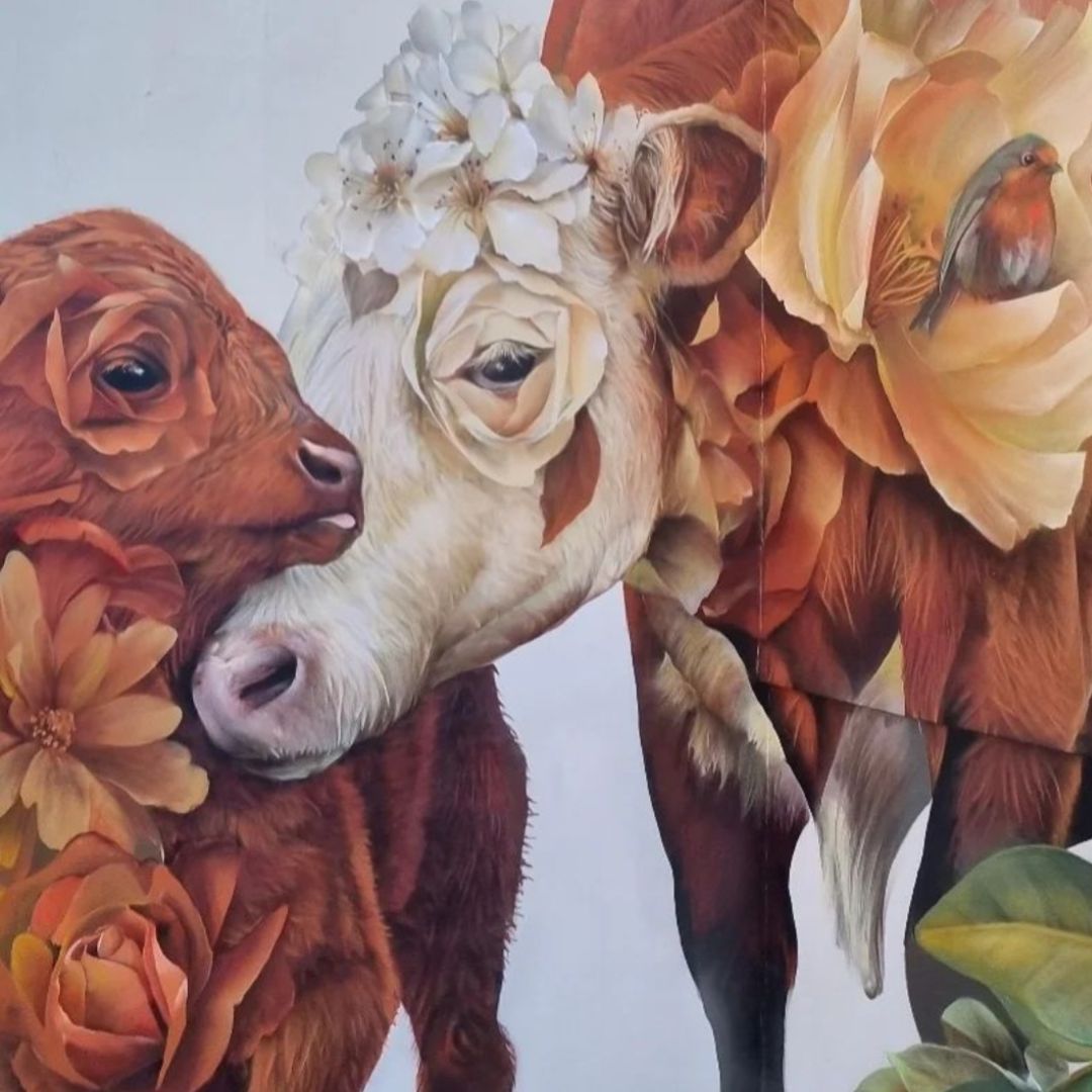 HerefordshireCouncil tweet media