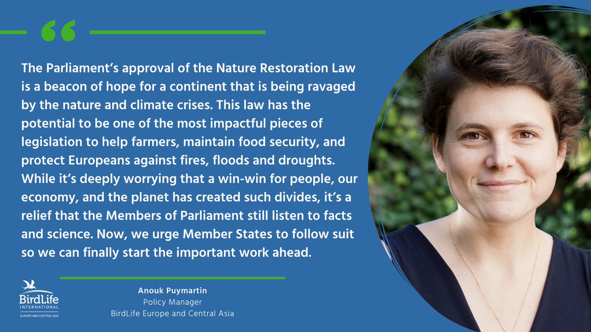 🥳 The law to #RestoreNature has always been so much more than a law to bring back nature. It is a symbol that Europe can, and will, commit to fighting for the survival of our planet. Despite last-minute efforts of far-right and conservative groups, and disinformation from