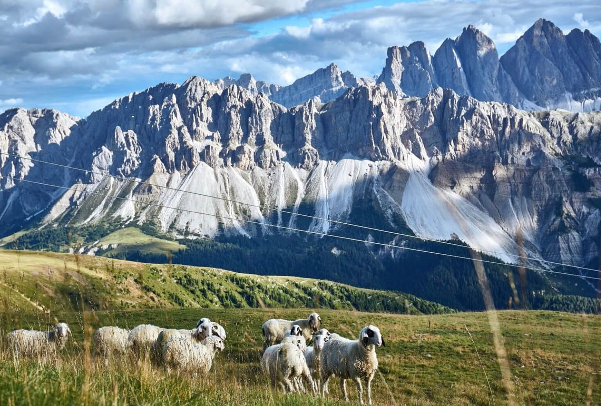 @sarfeld Südtirol, das schönste Europas 🇮🇹 🇪🇺