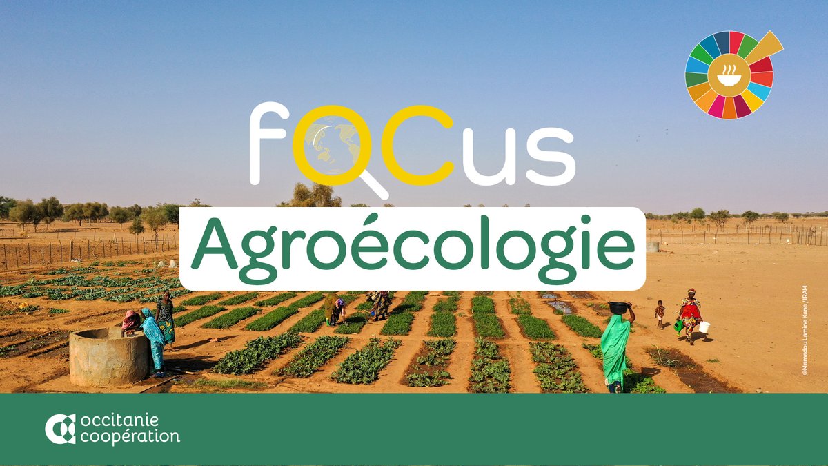 🌱Publication de notre 2e dossier thématique dédié à l'#agroécologie et co-réalisé avec les acteurs avec les acteurs de la coopération et de la solidarité internationales basés en Occitanie 👉 bit.ly/3URTIWb