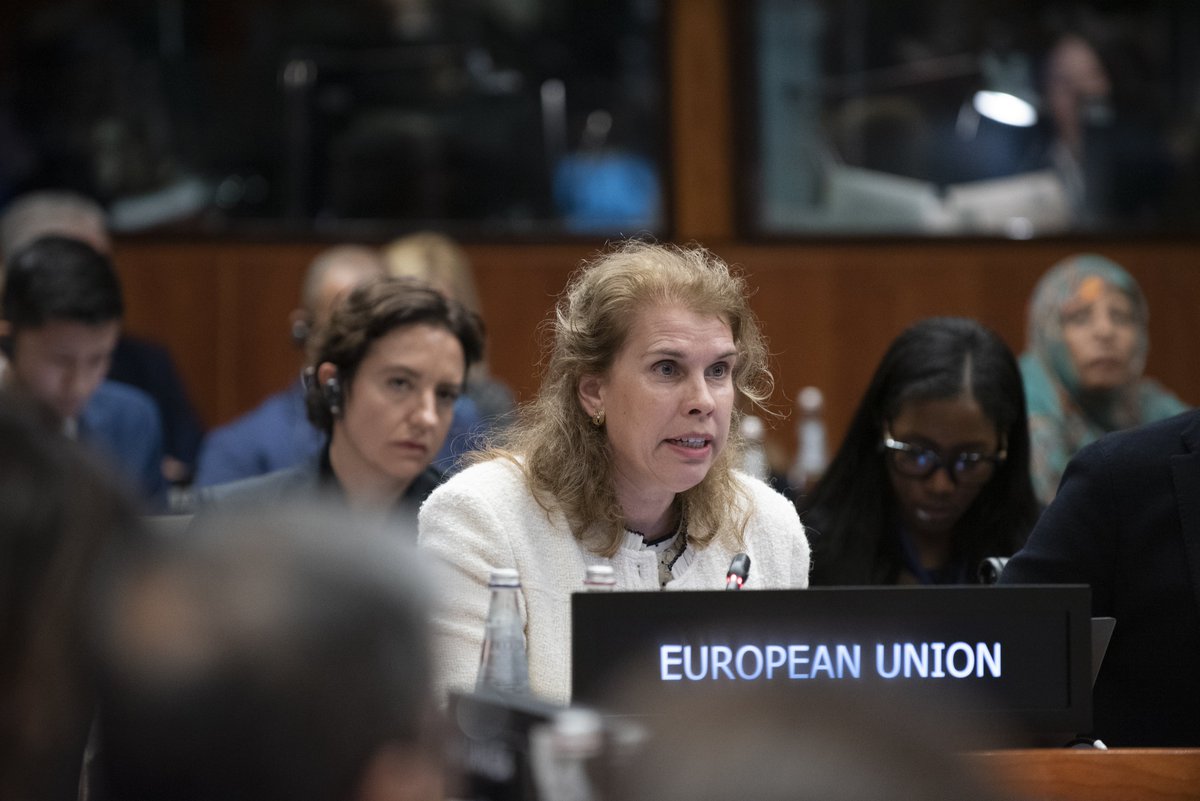 🇪🇺Ambassador @avalkenburg participated in the 1st  regular session of the @WFP EB in 2024 and delivered #EU statements on 🇹🇩 Chad and 🇲🇷 Mauritania.