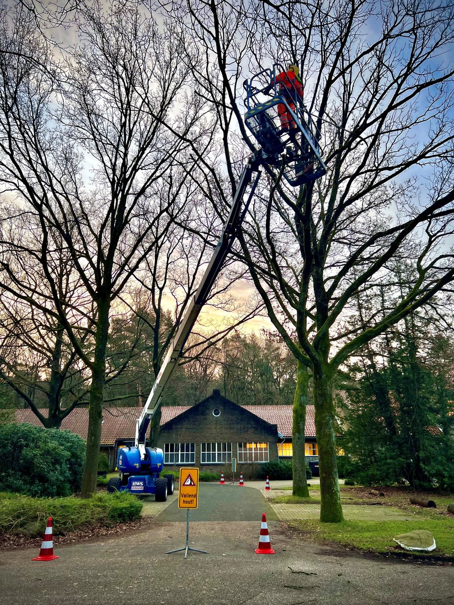 🌳✂️ De winter en vroege lente zijn perfecte tijden voor ons om bomen te verzorgen! 🍃 Van zorgvuldig snoeien tot het behoud van gezonde groei - we geven onze groene vrienden alle aandacht. Geen blad te bekennen, maar wel volop prachtige foto's van projecten door het hele land.