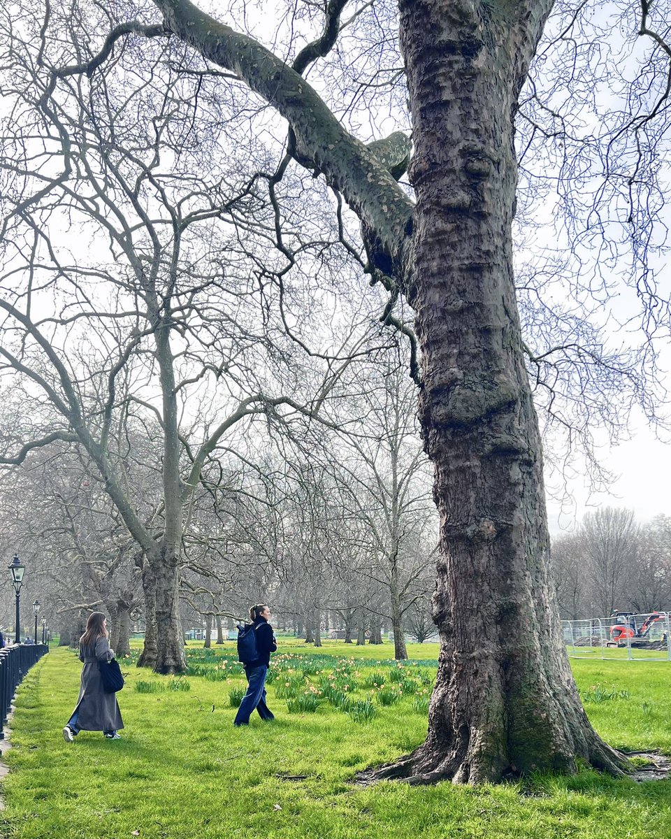 Majed Aldhafeeri. tweet media