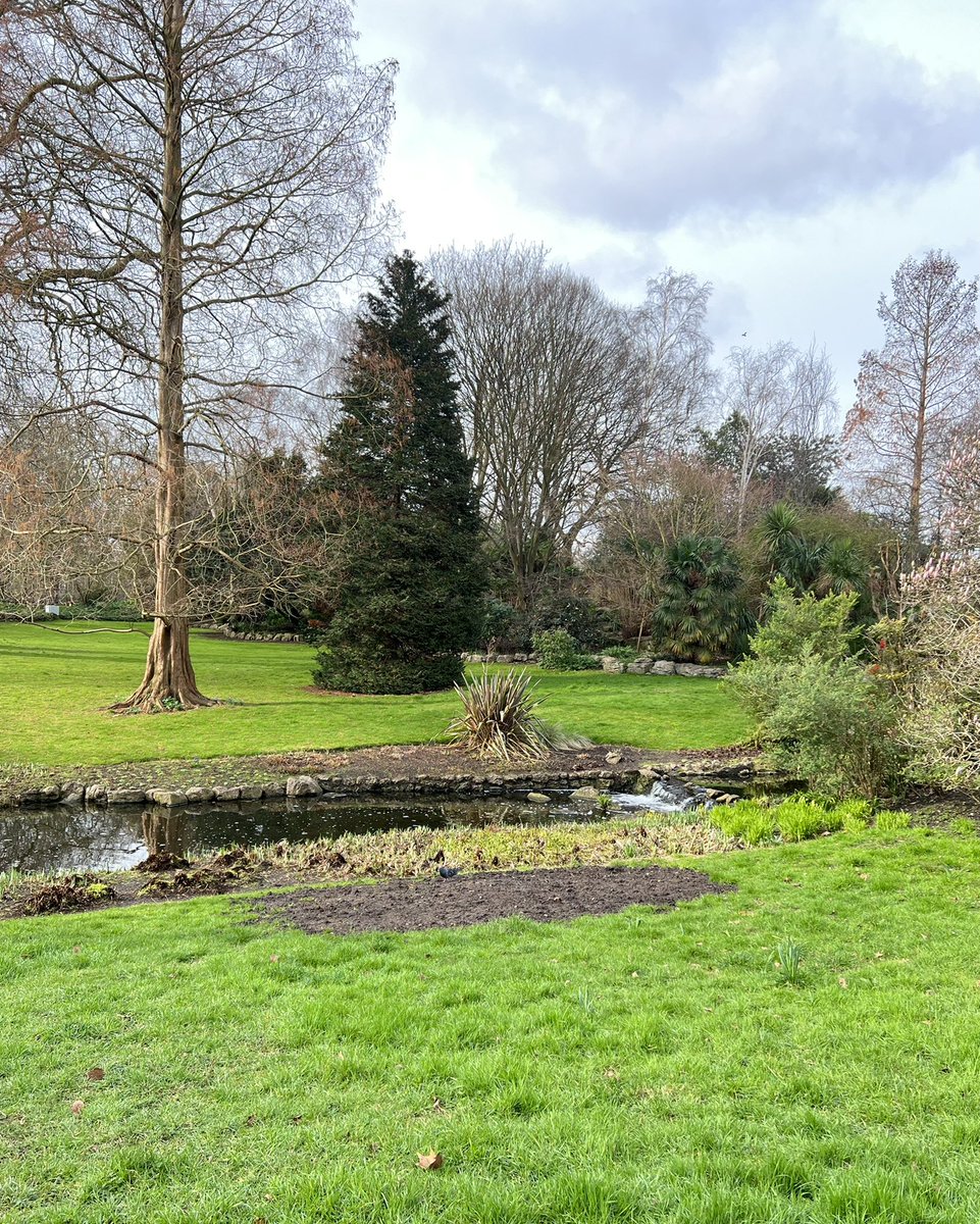 Majed Aldhafeeri. tweet media