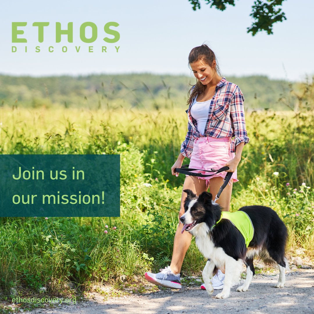 As a non-profit relying on philanthropy, your support makes a difference. If you'd like to contribute to our research, visit ethosdiscovery.org/opportunities-….
#ethosdiscovery  #vetmed #veterinary #nonprofit