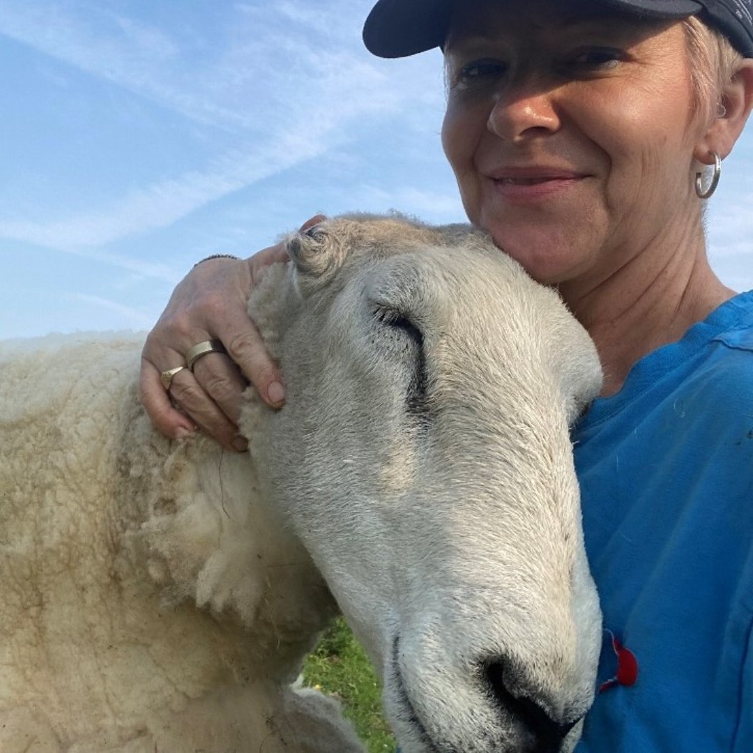 StockwoodCBS's tweet photo. It's Tenant Tuesday, and this week meet one of our business park heroes! LSD Accountants have been with us since our founding in 2014 and are a team of talented accountants who have thrown themselves into the Stockwood project. They even have their own flock of crazy sheep here! https://t.co/j2PYnP7WWv