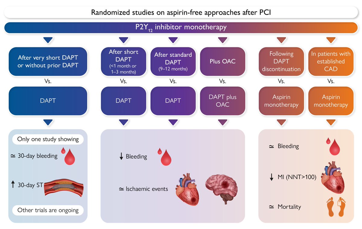 EHJ Editor-in-Chief (@ehj_ed) on Twitter photo Aspirin-free antiplatelet strategies after percutaneous coronary interventions. A State-of-the Art Review published in the latest issue of #EHJ
<a href="/DFCapodanno/">Davide Capodanno</a> <a href="/PCapranzano/">Piera Capranzano</a> <a href="/escardio/">European Society of Cardiology</a> <a href="/ESC_Journals/">European Society of Cardiology Journals</a> #aspirin #PCI
academic.oup.com/eurheartj/arti… Aspirin-free antiplatelet strategies after percutaneous coronary interventions. A State-of-the Art Review published in the latest issue of #EHJ
<a href="/DFCapodanno/">Davide Capodanno</a> <a href="/PCapranzano/">Piera Capranzano</a> <a href="/escardio/">European Society of Cardiology</a> <a href="/ESC_Journals/">European Society of Cardiology Journals</a> #aspirin #PCI
academic.oup.com/eurheartj/arti…