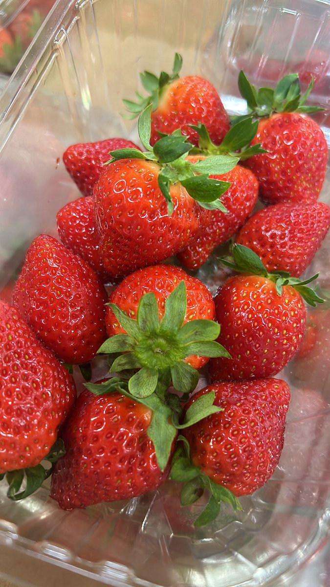 Another Out of season in Season product . Small amounts of UK hydroponic grown Strawberries in the market today