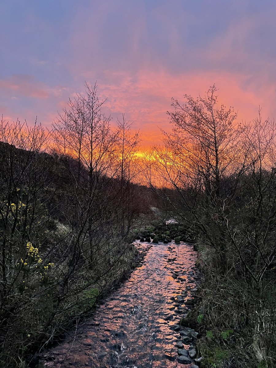 Morning walk before work 🌅