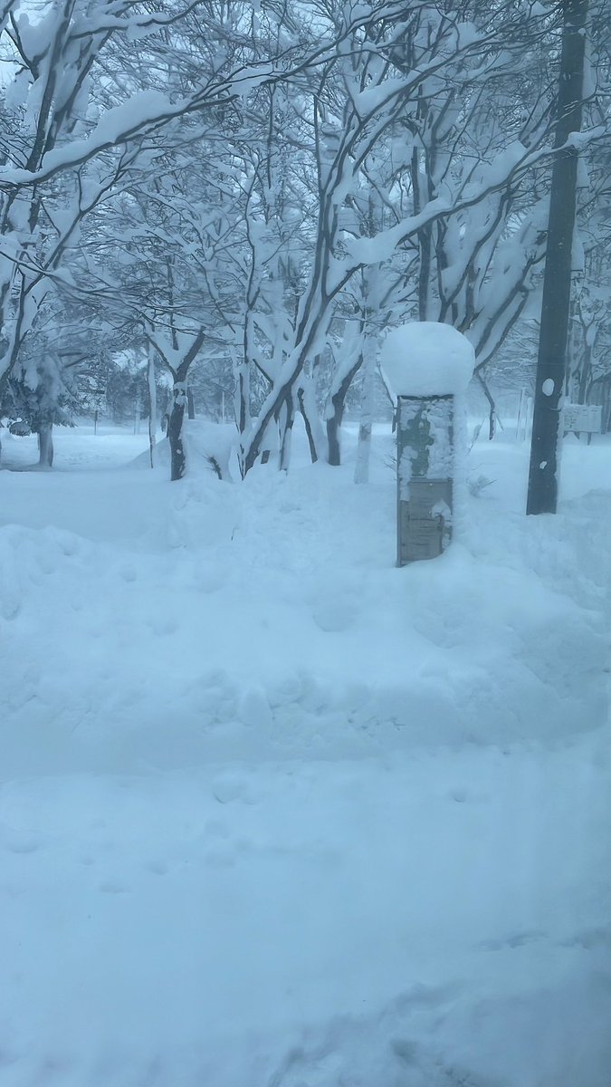gunjyoiro's tweet photo. SAVE THE SNOWコンサート、安比は豪雪だったけどホント思い出深い。幸運にも参加される方は楽しんでくださいね♪
#松任谷由実
#SAVETHESNOW https://t.co/0zGmqLQJ2o