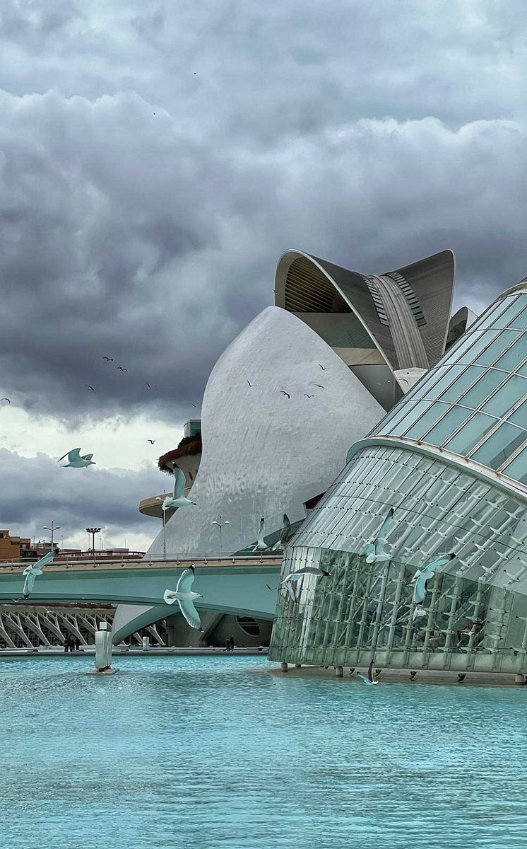 La tristeza de Valencia

Gracias a 📷 <a href="/direlo/">Diego Revilla</a>