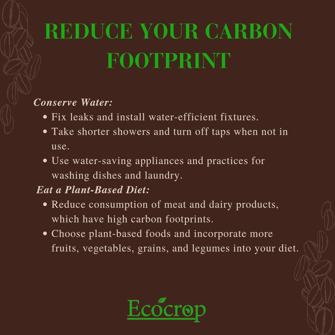 ecocrop's tweet photo. Reducing carbon in your life, also known as carbon footprint reduction, is essential for mitigating climate change and minimizing environmental impact.

Take a step and reduce carbon in your life for a better earth🌍🍃

#lowcarbon #carbonemmissions #lowcarbonfootprint #goodforyou https://t.co/BgpK9MxlSx