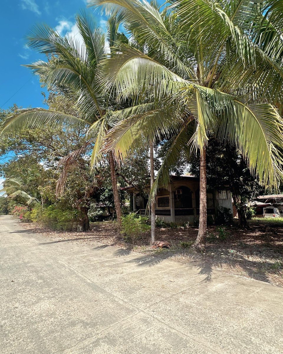 jeraldyn04's tweet photo. Some old fashion things like fresh air and sunshine are hard to beat. 🌞🌴🌾 #provincelife https://t.co/lIGQZSlL7I