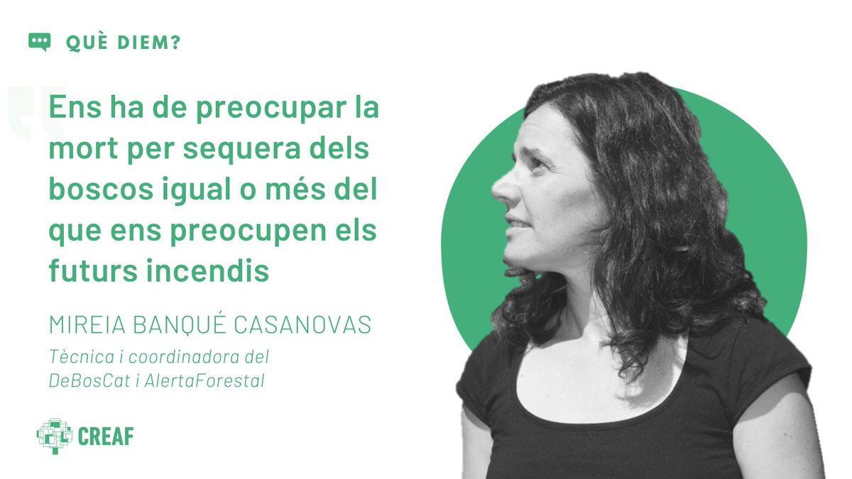 Aquesta nit a les 22.05 h no us podeu perdre el <a href="/senseficcio/">Sense ficció</a> "Canvi de cicle" de <a href="/som3cat/">3Cat</a>, on la Mireia parlarà de l'efecte de la sequera als boscos de Catalunya 💥 #Sequera3Cat