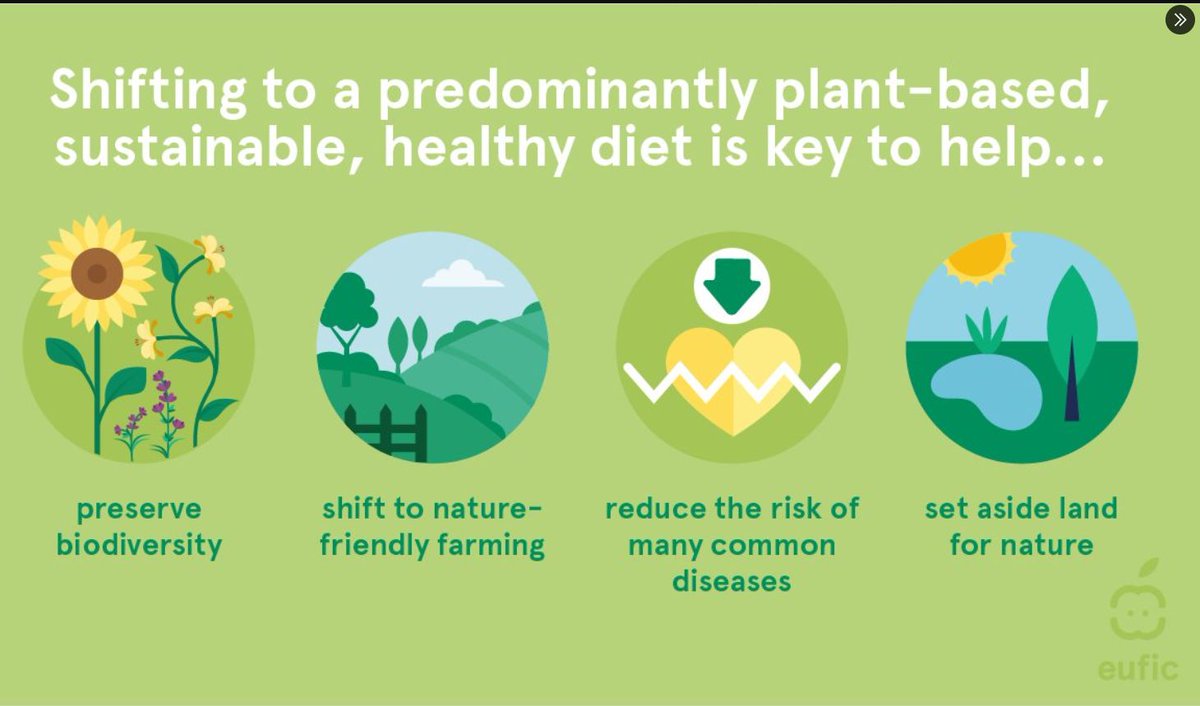 🥬 Some nice visual stimuli from @EUFIC embracing a healthy and #sustainablediet... discuss how our food choices impact more than just our health❓ 
🔗 buff.ly/48p8jvx 
🔗 buff.ly/48kwThb 
@ATHE_HomeEc
@Oide_Ireland
