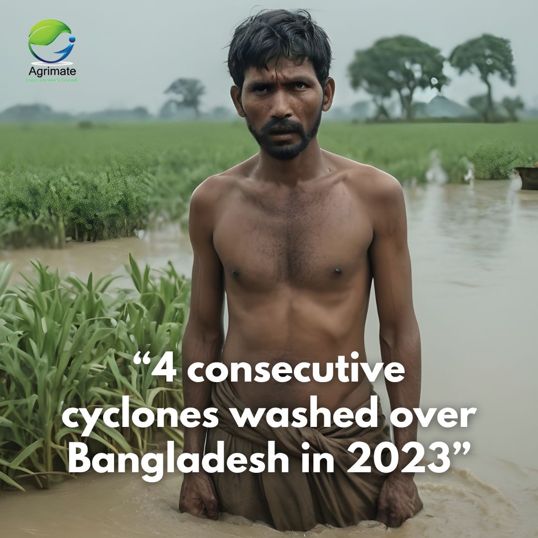 Imagine dealing with not just one, but four cyclones in a single year! That was Bangladesh's reality in 2023.

Amidst the chaos of nature's fury, there's a glimmer of hope on the horizon thanks to Agrimate's upcoming features.

#agriculture #agrimate #agribusiness #farmers