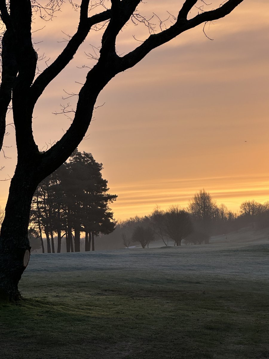 Peter Meek tweet media