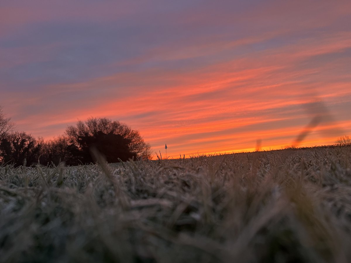 Peter Meek tweet media