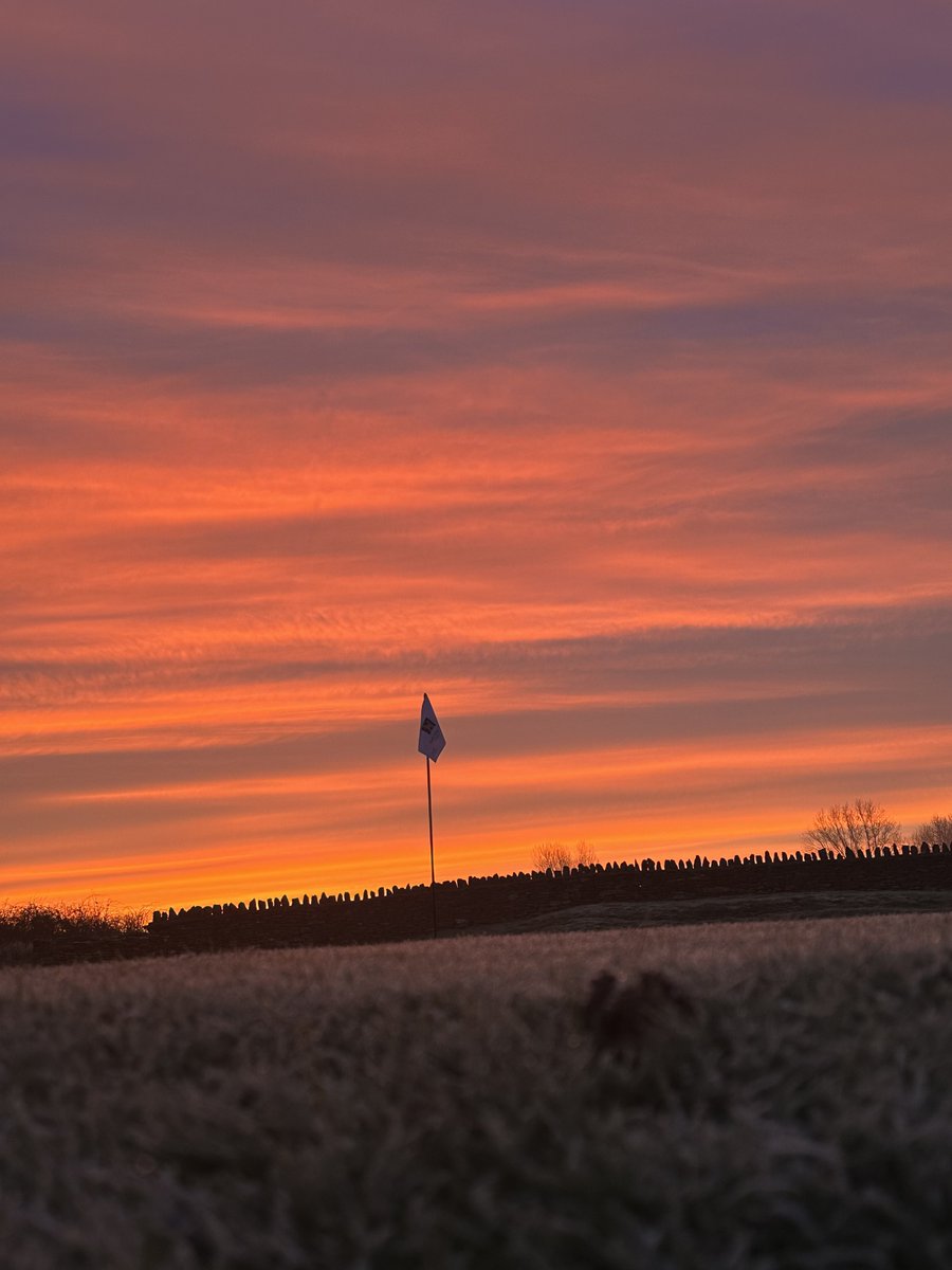 Peter Meek tweet media