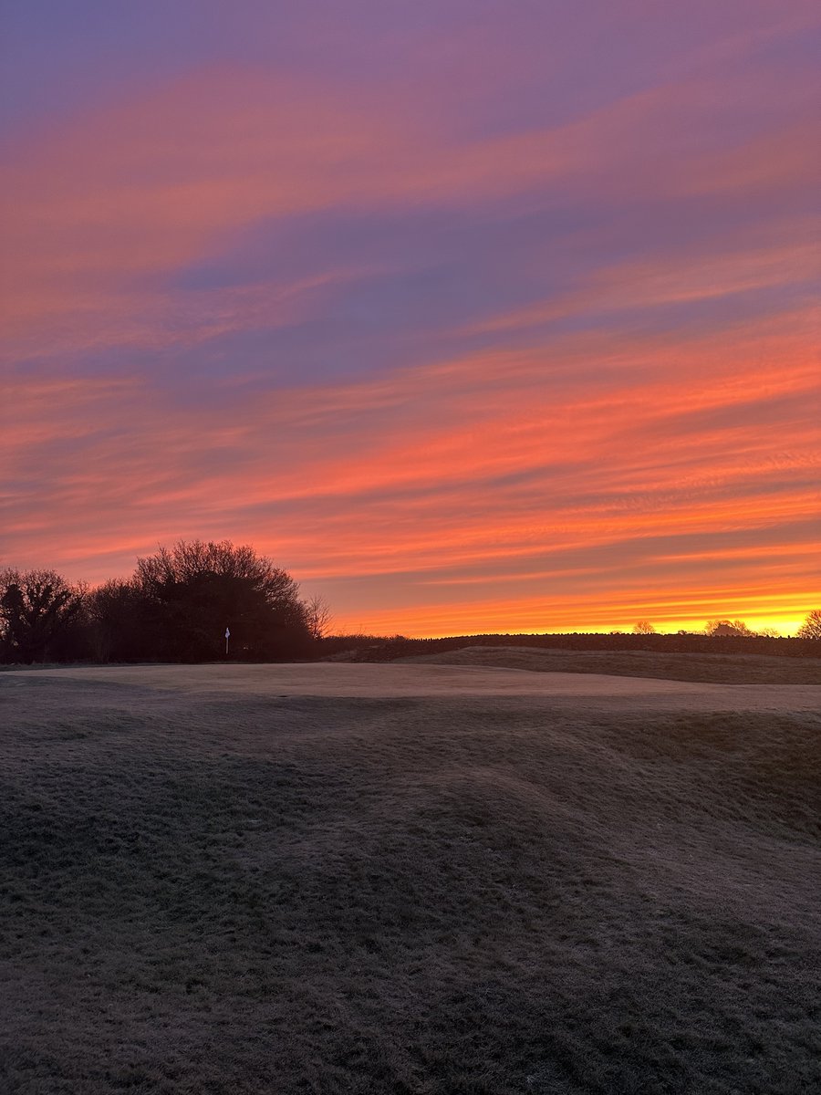 Peter Meek tweet media