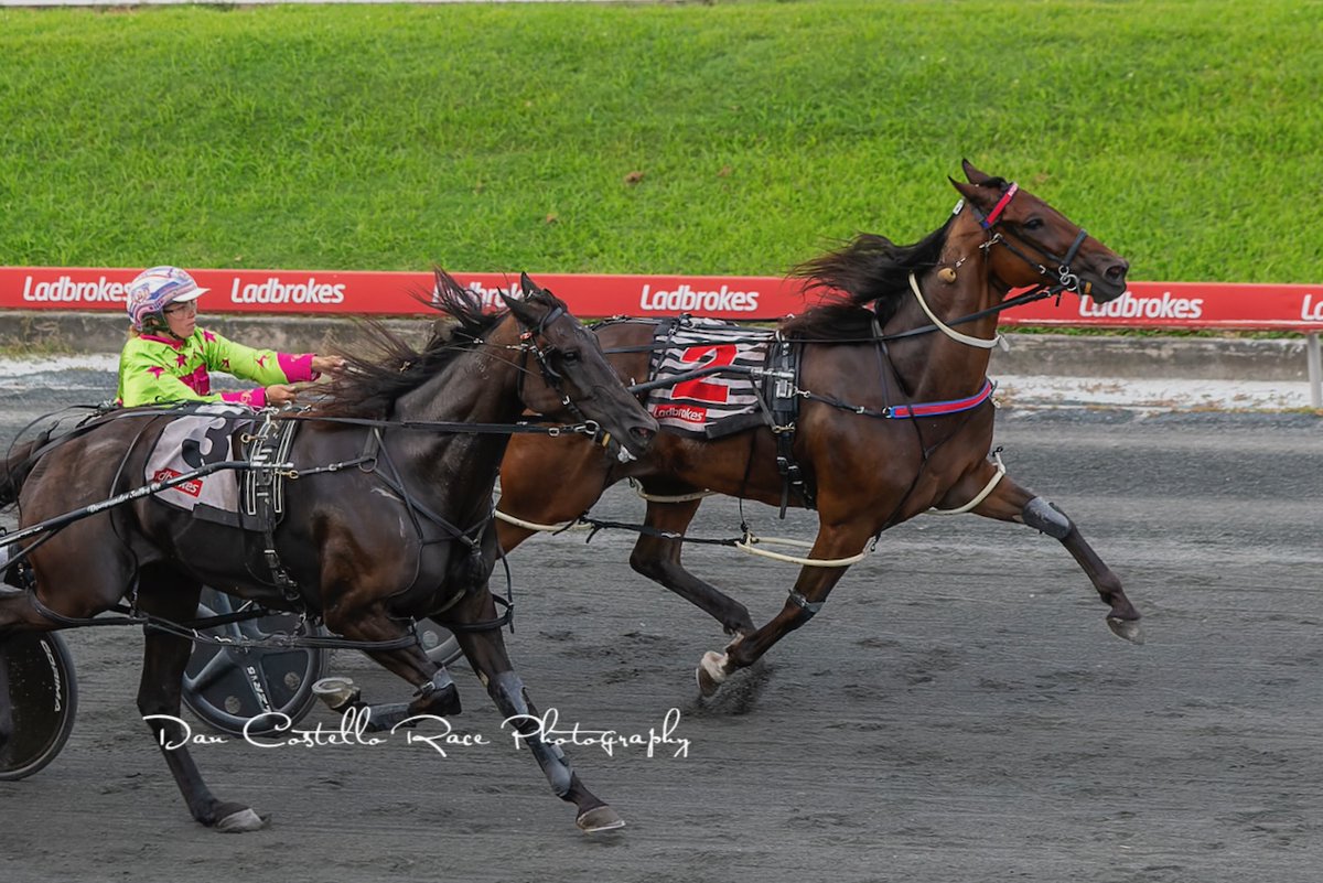 DanRacingWrap's tweet photo. Double for @Chloe12Butler getting Obi One home via the @kelato sprint lane to win race 7 @TheCreekAlbion for trainer @mjbutler63 @sooty173 https://t.co/4aaz1VqVyE