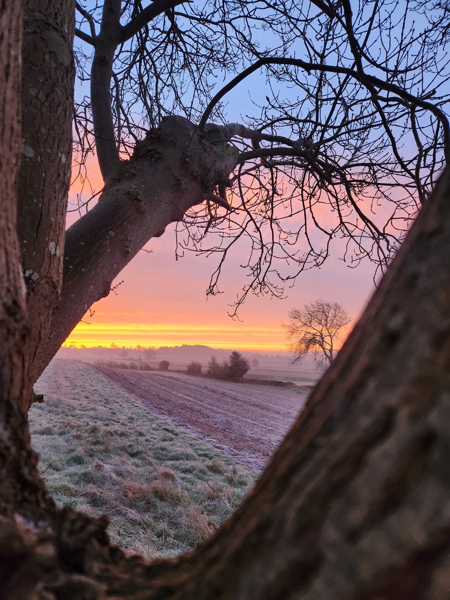 willynic's tweet image. Sucker for a sunrise! #morning #sunrise