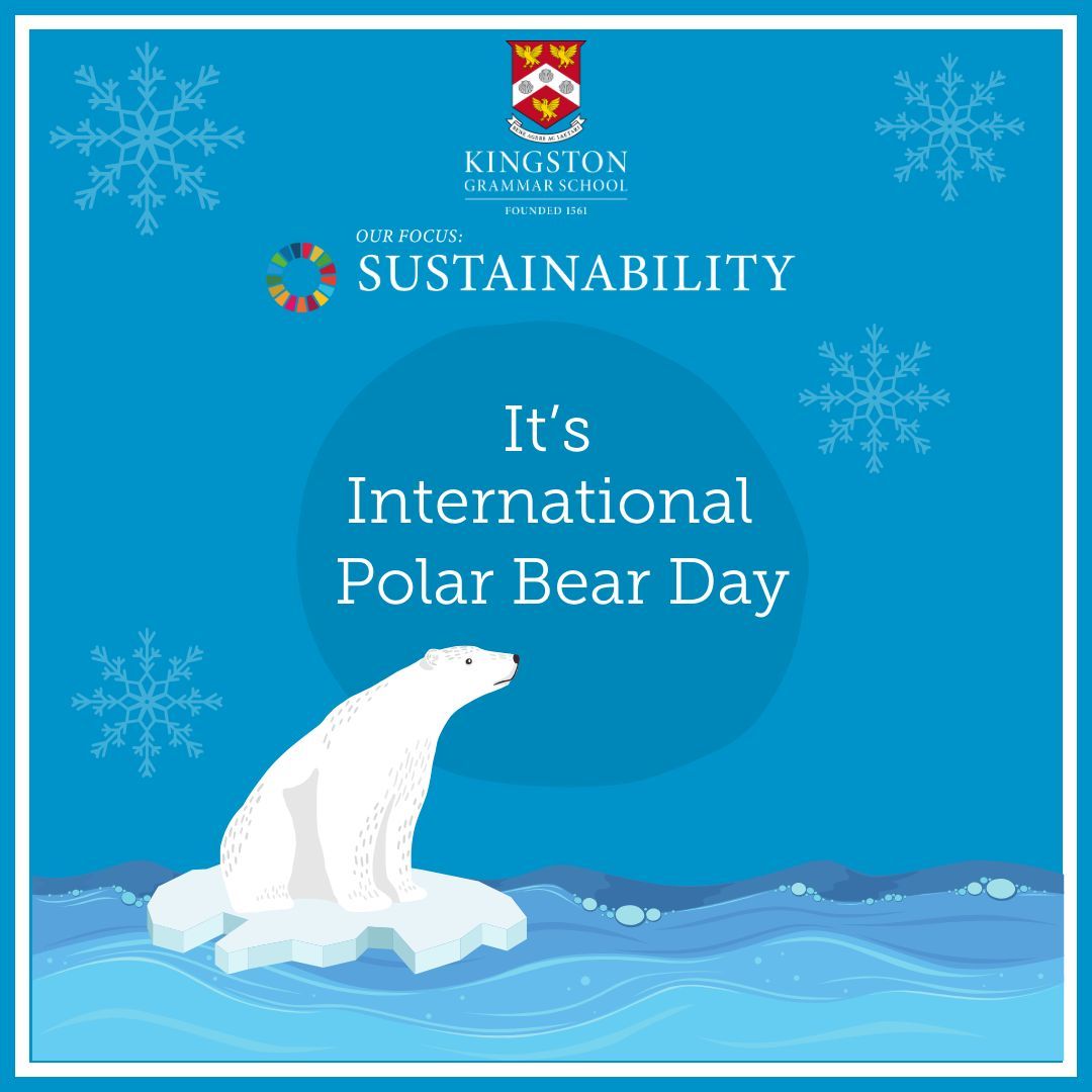 The Kindness Council tweet media