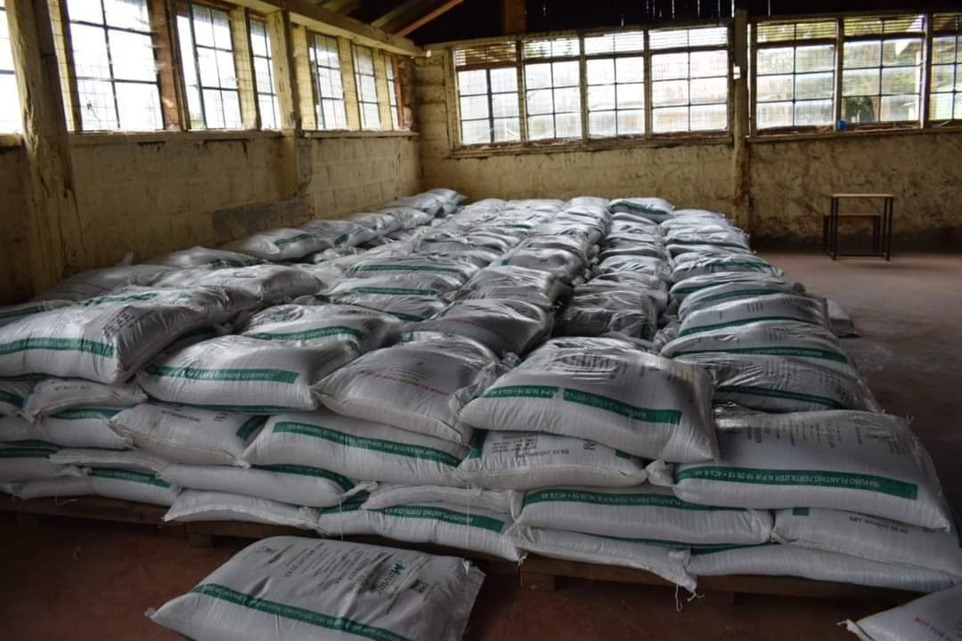 mwaririhassan4's tweet image. Governor Susan Kihika  has resumed the distribution of subsidized fertilizer to approved depots in Nakuru county, with deliveries made to Keringet Social Hall and Kiptororo Cereals Board store in KN and KS Sub-counties.

#Focusedonservicedelivery  Susan Kihika