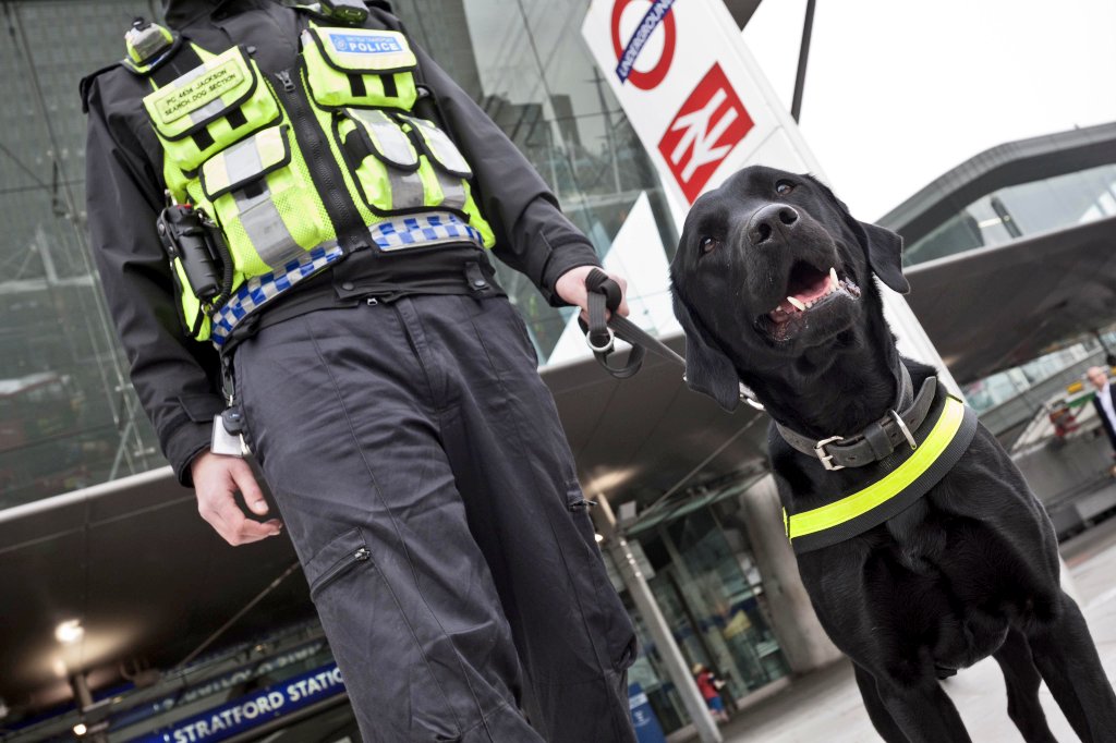 BTPDogs tweet picture