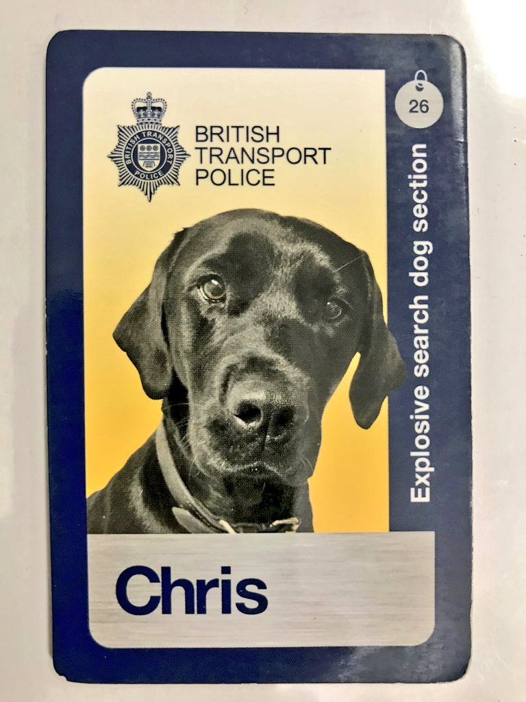 We have received sad news today. RPD Chris has crossed over the Rainbow Bridge 🌈 Sending best wishes to Ex handler PC Jackson and family. Rest Easy RPD Chris 🐶🐾 Read more information on @RailDogsFund post 🐾