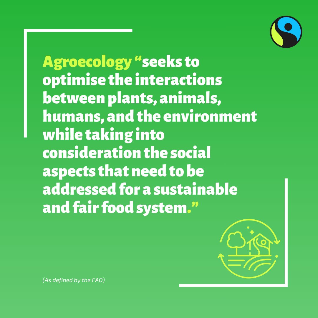 We urge that policymakers move towards #agroecology to ensure the future of our food systems 🌾🌏 Now is time for action. Join us! More: bit.ly/3uFnSBB futureisfair #sustainablefarming