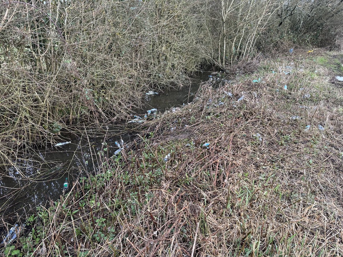 James Cameron tweet media