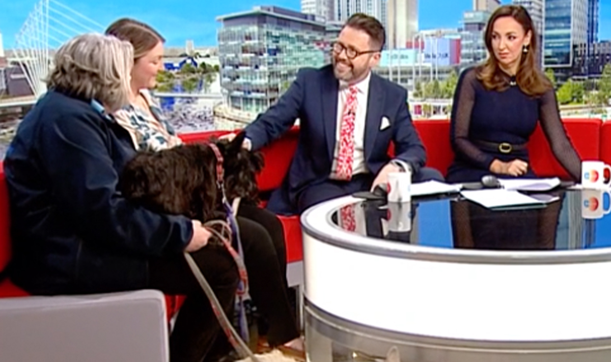Daily_Express's tweet photo. BBC Breakfast viewers outraged as adorable dogs appear on show for sad reason
https://t.co/sN4NVXfHse
#bbcbreakfast #scottiedogs #scottishterrier #jonkay #sallynugent https://t.co/C7MHJTH5TU