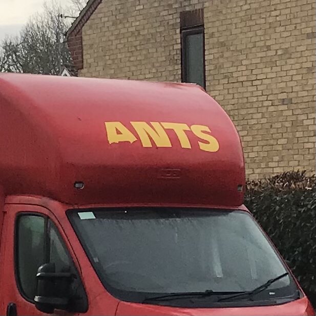 hamiltonuk's tweet photo. Someone’s been trying to sabotage my pants business. Literally taking the p now https://t.co/Cfl8Ku0JKe