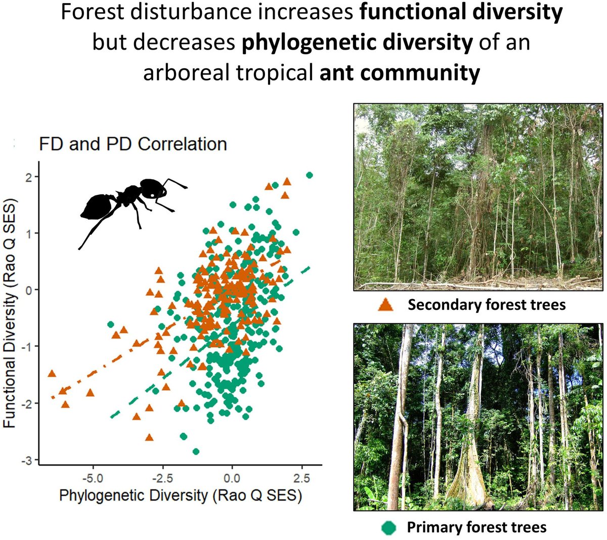 antscience's tweet image. besjournals.onlinelibrary.wiley.com/doi/10.1111/13…