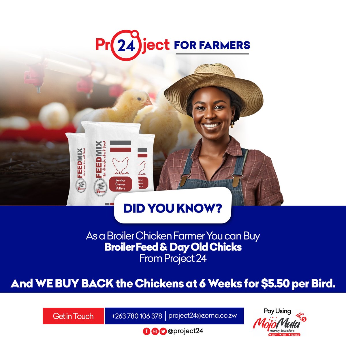 Attention Broiler Farmers! Get all your needs fulfilled at Project 24! Purchase your feeds and day-old chicks conveniently, and guess what? We'll buy back your chickens at 6 weeks for $5.50 each! Payments accepted at all Mojomula outlets nationwide.