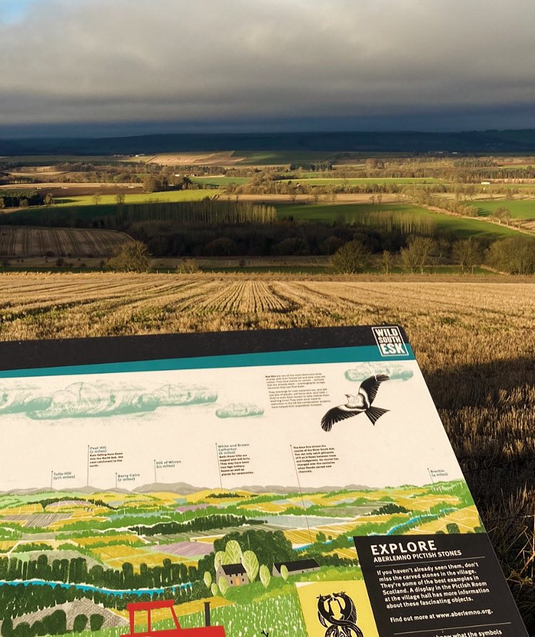 Have you enjoyed the view from the Wild South Esk trail Aberlemno, Angus Hill site lately? Red Kite are the star species… have you seen any? Great to see the species doing well in Angus. Follow the trail at wildsouthesk.org #riversouthesk #Angus #nature