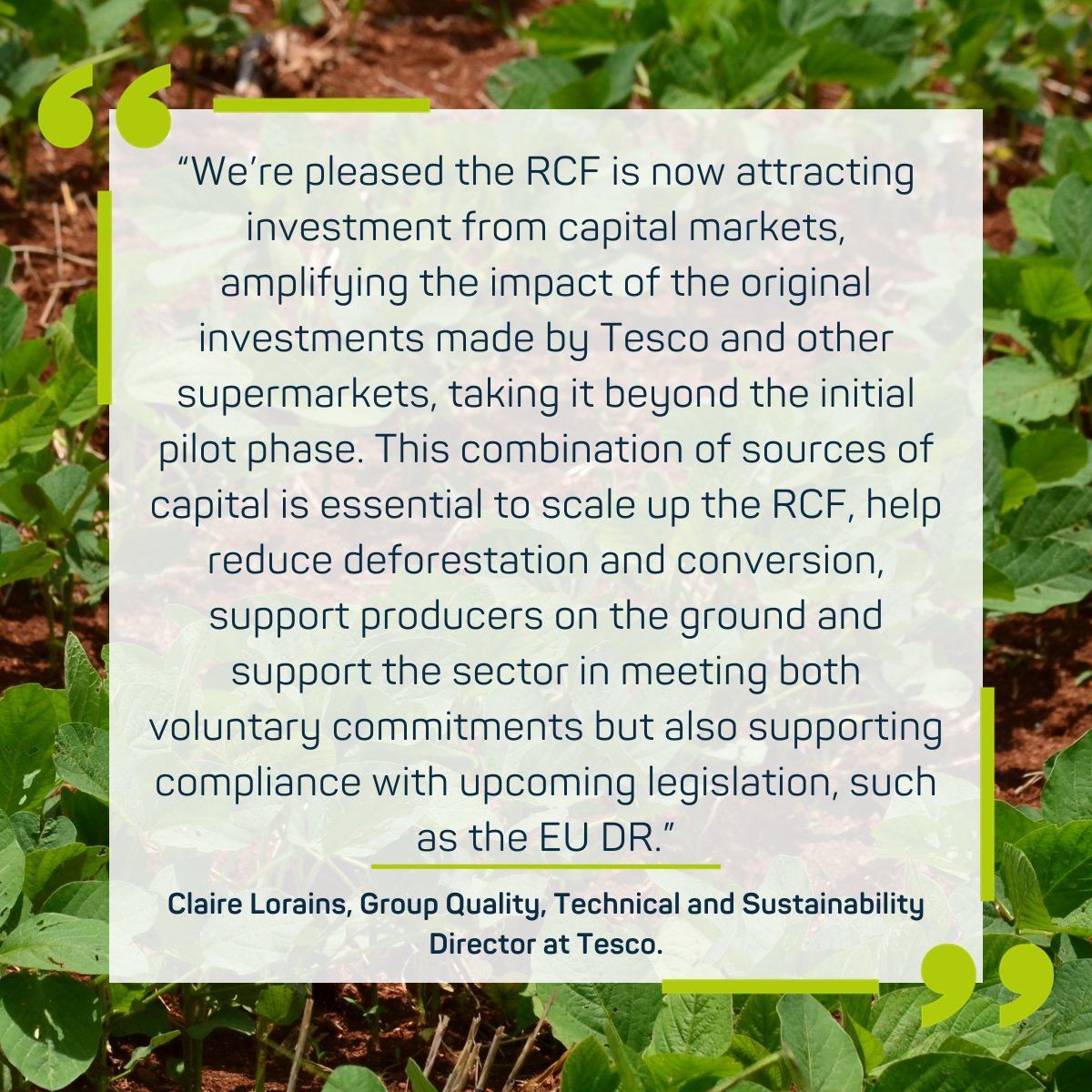 UK supermarket <a href="/Tesco/">Tesco</a> was one of the first RCF investors, recognising the potential of the Cerrado programme to deliver on its responsible sourcing commitments, and leading on designing the model for retail investment.

#impactinvesting  #impactinvestment #sustainableagriculture